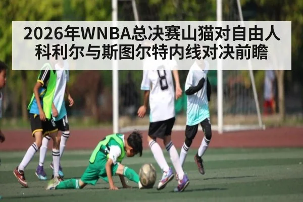 2026年WNBA总决赛山猫对自由人科利尔与斯图尔特内线对决前瞻